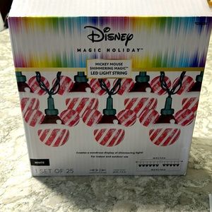 Disney magic holiday lights.